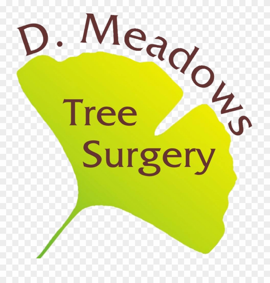 Illustration Clipart