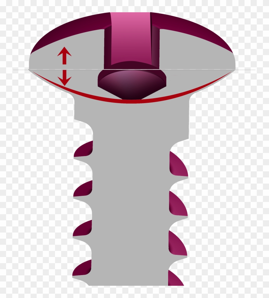 Clip Art - Png Download