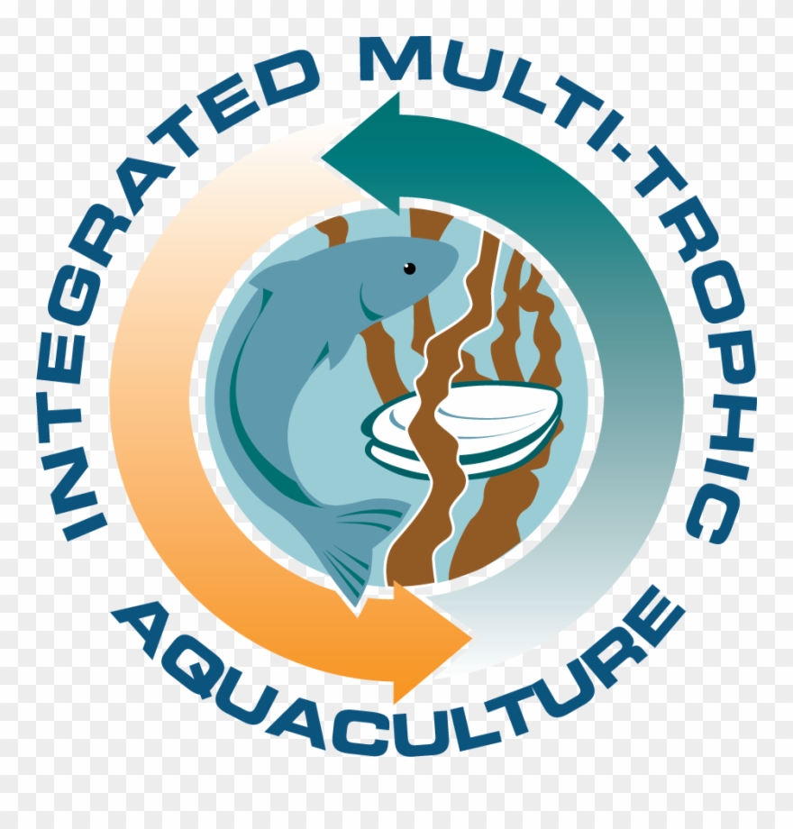 The Imta Logo - International Modeling And Talent Association Clipart