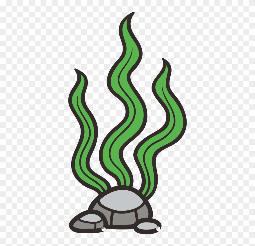 Seaweed Clipart Seagrass - Cartoon Seaweed - Png Download
