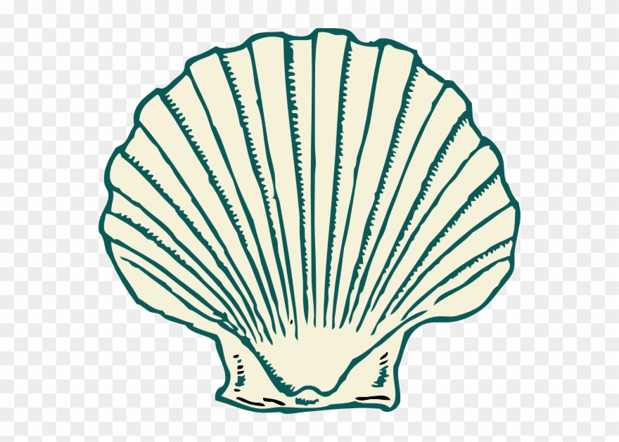 Seashell Clip Art - Png Download