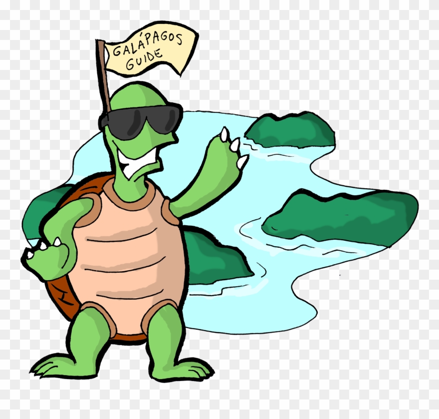 The Islands Have Become A Paradise Tourists, Not - Cartoon Clipart
