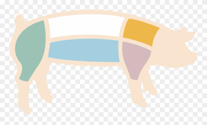 Hog Clipart Porcine - Cut Of Pork - Png Download
