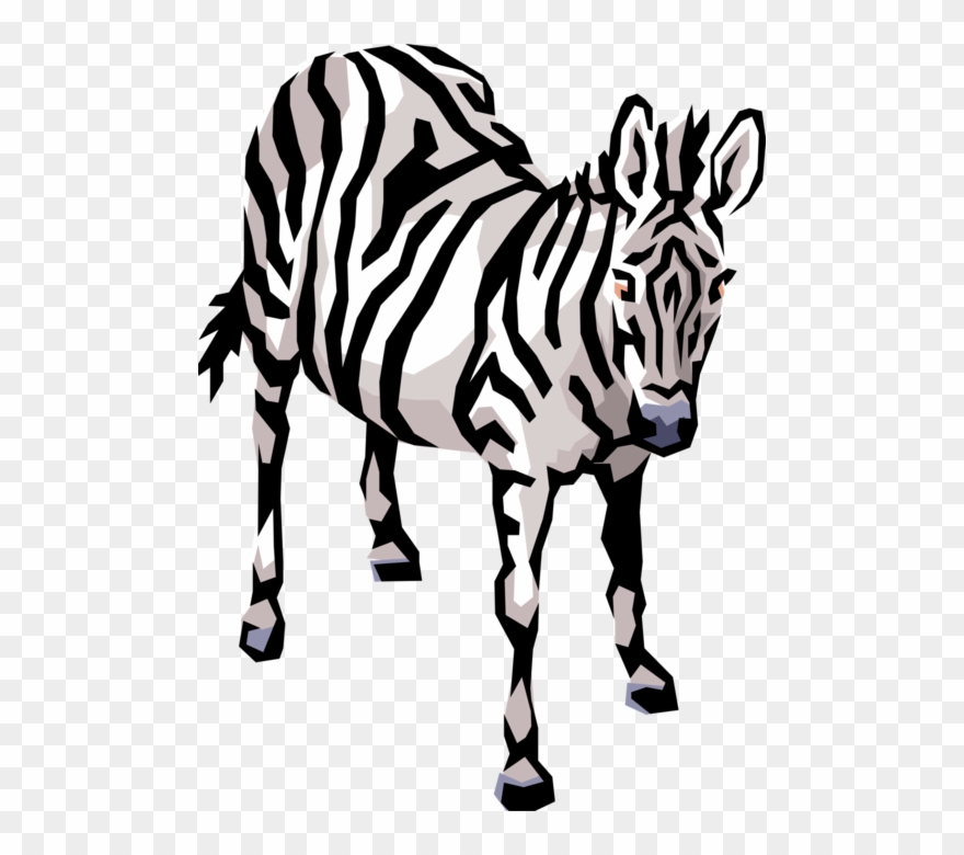 Vector Stripe Animal - Cliparts Of Animals To Download - Png Download