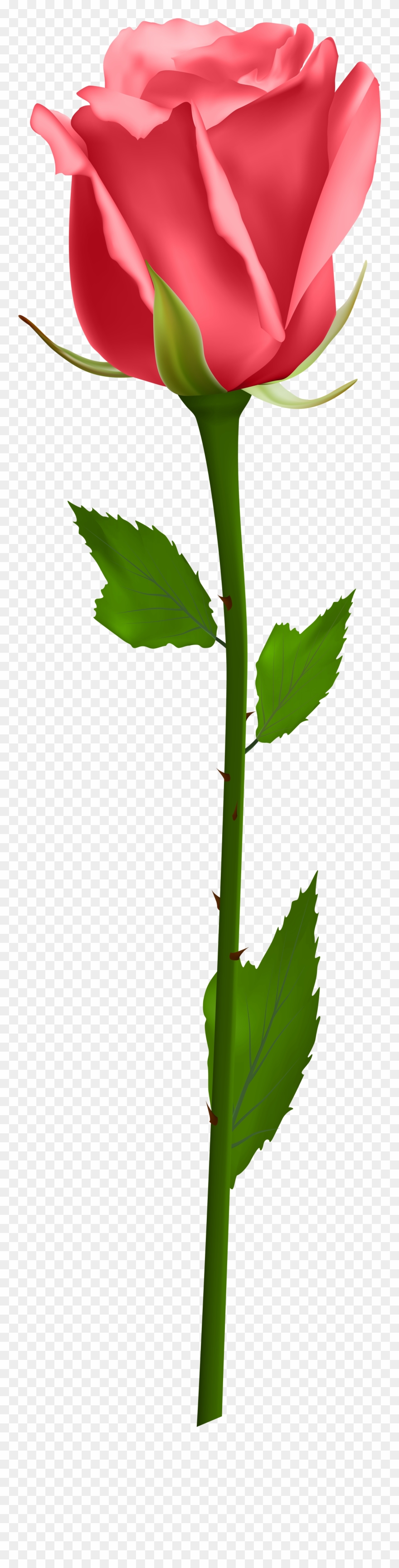 Blue Rose No Background Clipart