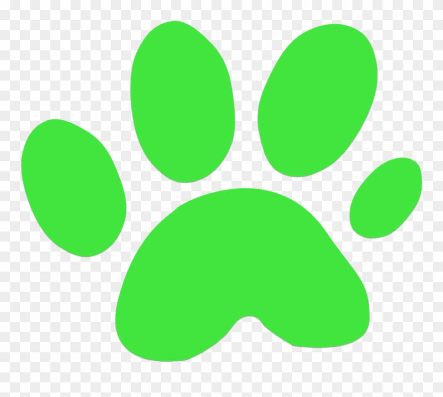 Orange County Dog Photography Clipart