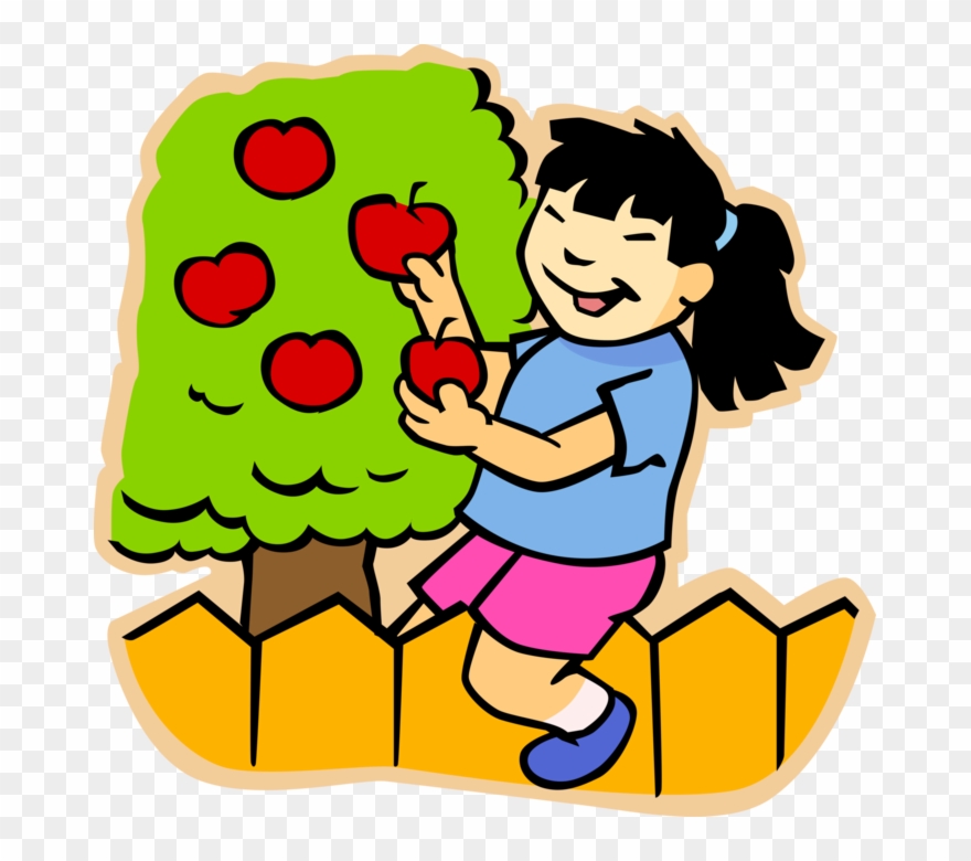Vector Illustration Of Primary Or Elementary School - Girl Picking Apple Clipart - Png Download