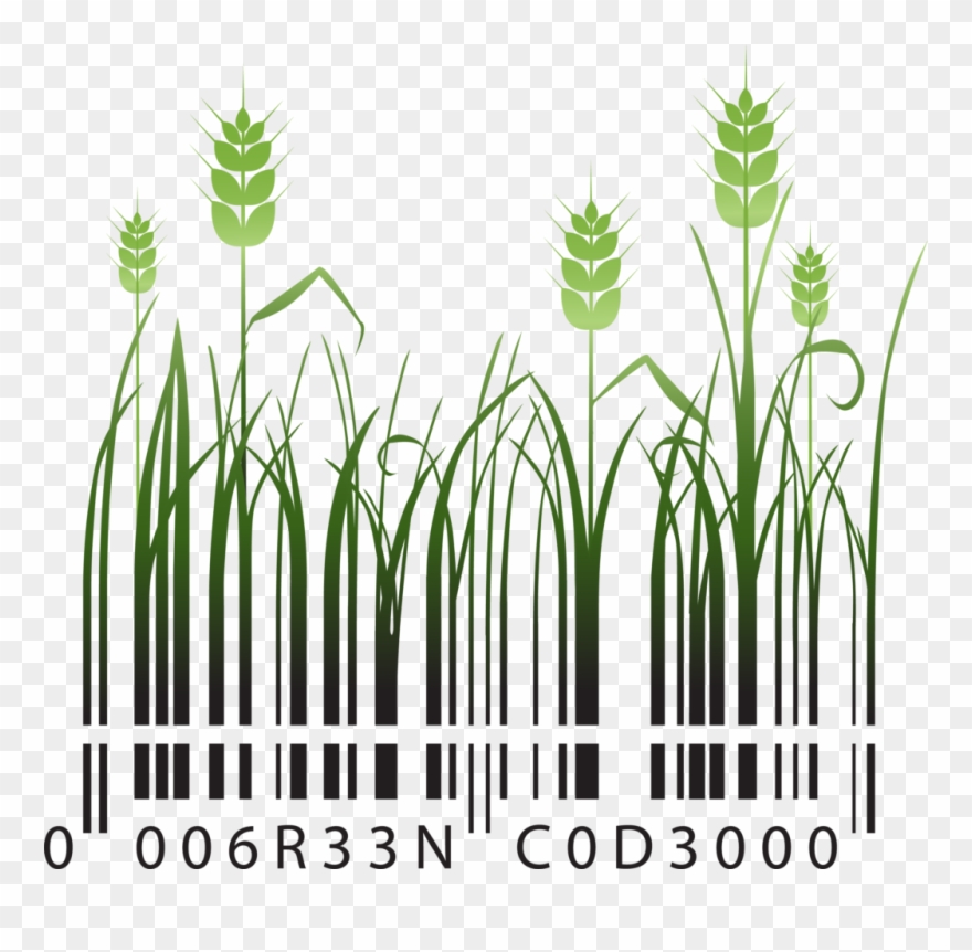 Plant Barcode Clipart