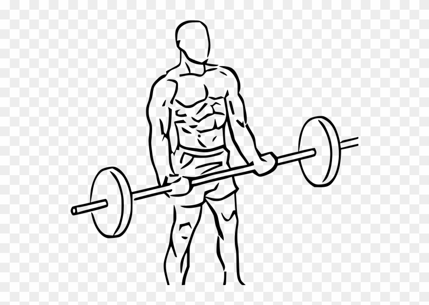 Holding The Barbell In An Underhand Grip, Hold The - Front Raise Ez Bar Clipart