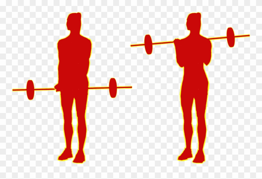 Barbell Or Cable-curls 21s - Bodybuilding Clipart