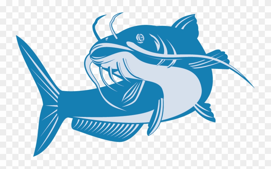 Proud Clipart Fishing - Cat Fish Jumping - Png Download