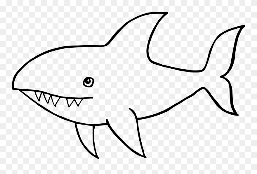Great White Shark Drawing - Drawing Image Of Shark Clipart