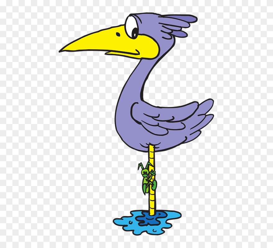 Bird Clipart Leg - Cartoon Bird Water - Png Download