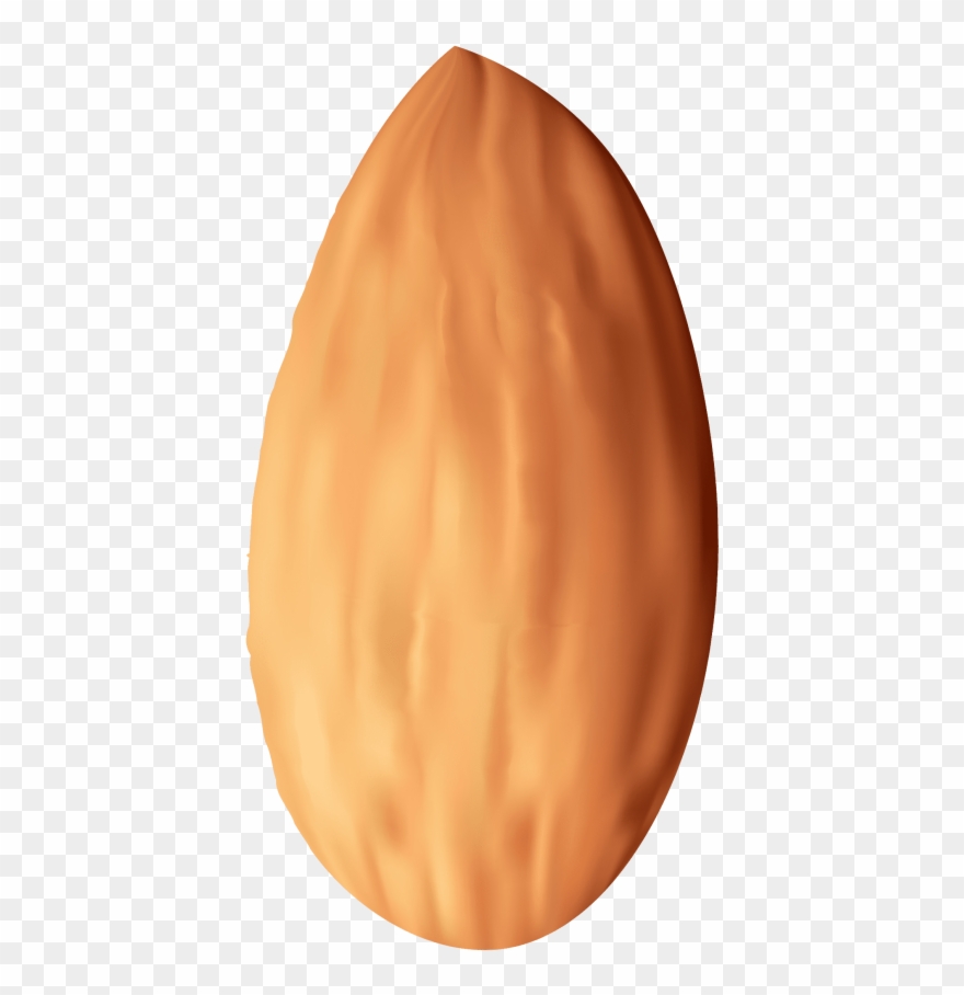 Free Png Almond Nut Png Images Transparent - Nut Clipart
