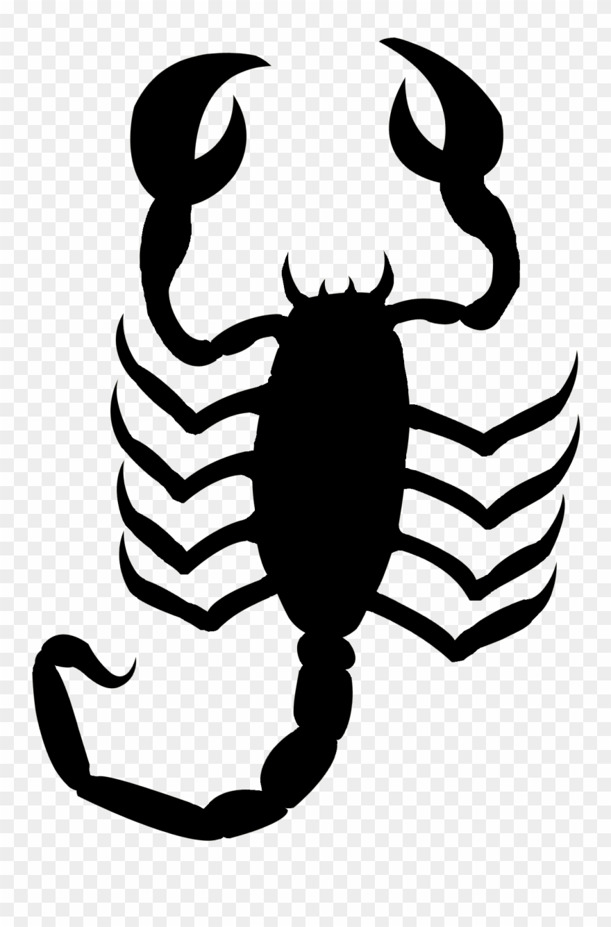 Download Clip Art Library Library Szukaj W Google Lubne - Scorpion Black Png Transparent Png