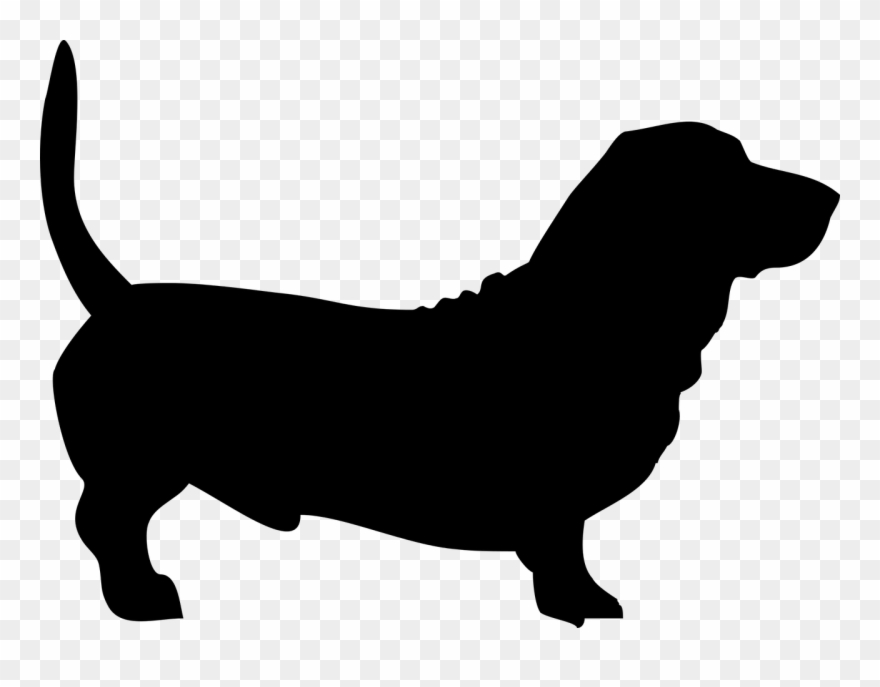 Basset Hound Dachshund Dog Grooming Silhouette Clip - Basset Hound Silhouette - Png Download