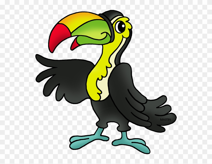 Toucan - Clip Art - Png Download