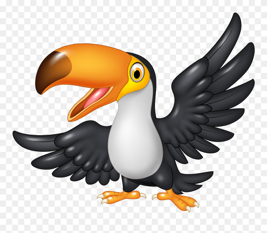 Toucan Clipart Zoo - Cartoon Birds - Png Download