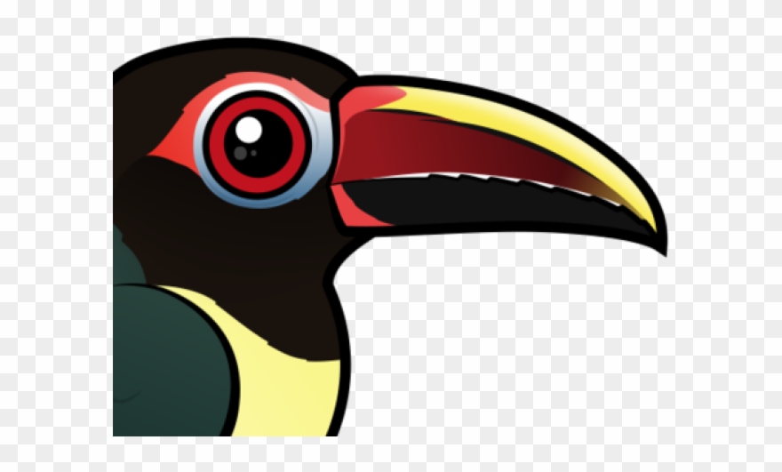 South America Clipart Toucan - Green Aracari - Png Download