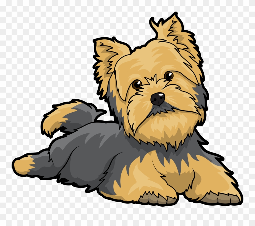 Glow Skates - Yorkshire Terrier Clipart Png Transparent Png