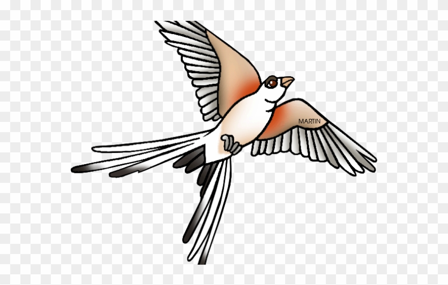 Kingfisher Clipart Clip Art - Scissor Tailed Flycatcher Clipart - Png Download