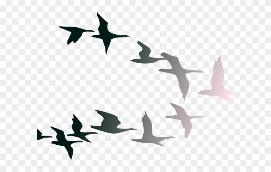 Flight Clipart Clip Art - Flock Of Birds Cartoon - Png Download