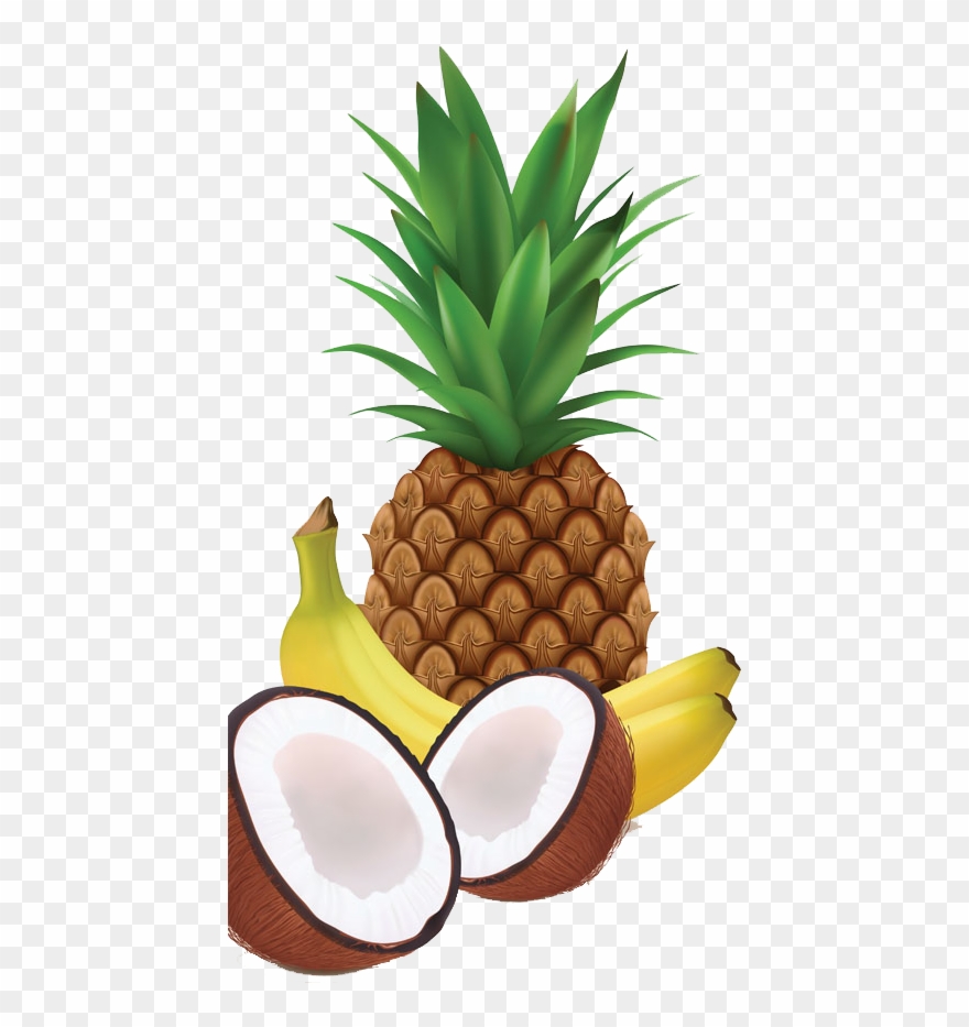 Juice Milkshake Coconut - Tropical Fruit Vector Png Clipart