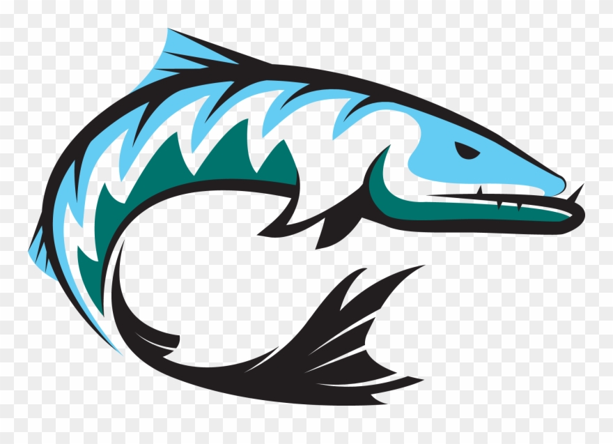 Clip Art Library Library Barracuda Drawing Cute - Riverview School El Mirage Az - Png Download