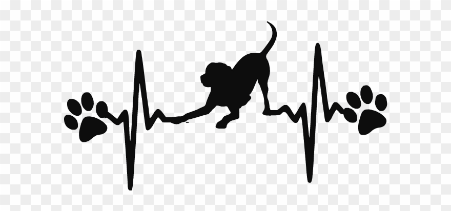 Dog Ekg Labrador Retriever Decal Tatuajes Perros, Gatitos - Schnauzer Svg Clipart