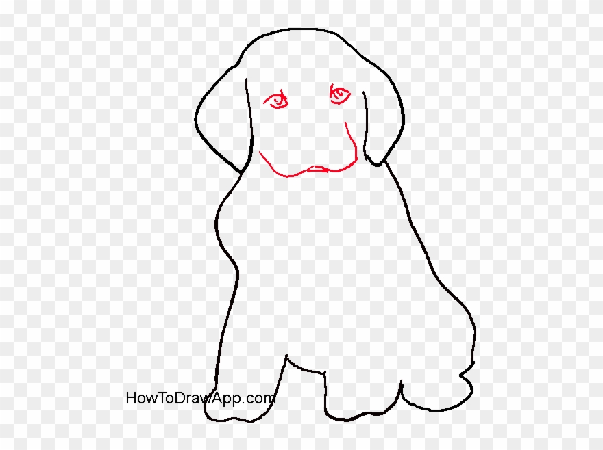 071 - Dog Drawing With Whiskers Clipart