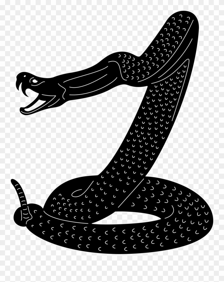 Serpent Clipart Snake Attack - Snake Attack Png Transparent Png
