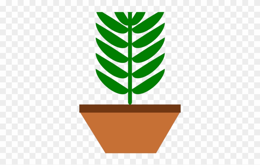 Pot Plant Clipart Baby - Clipart Plante Verte - Png Download