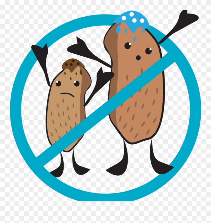 Nut Free Icon Clipart