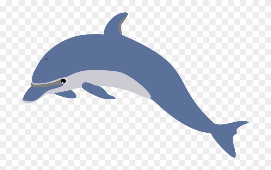 Dolphin Swimmers Will Be Introduced To Breaststroke, - Clip Art - Png Download