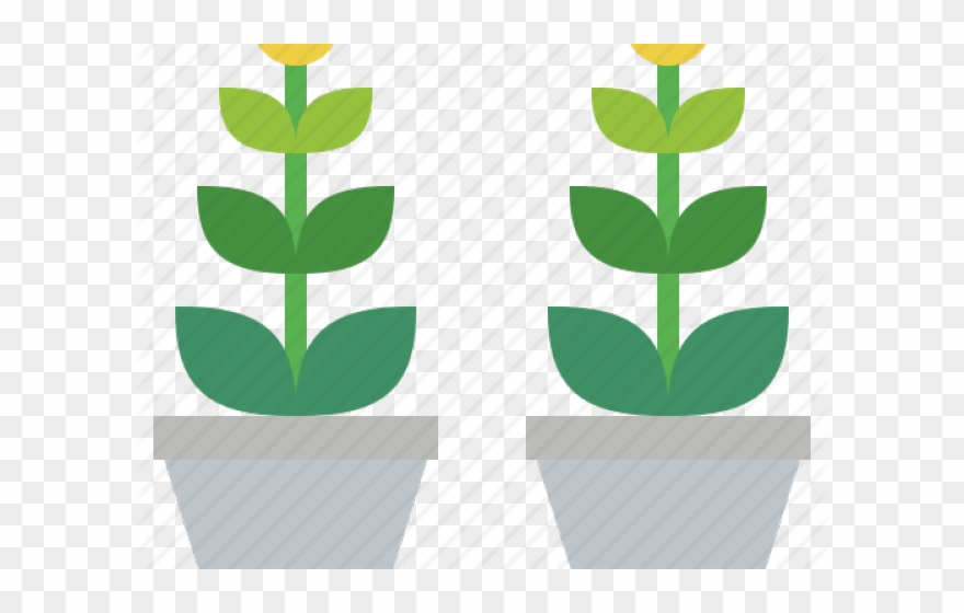 Potted Plants Clipart Ornamental Plant - Ornamental Plant - Png Download