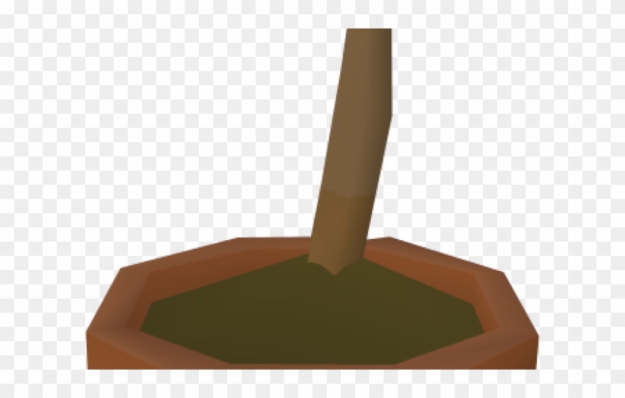 Potted Plants Clipart Sapling - .net - Png Download