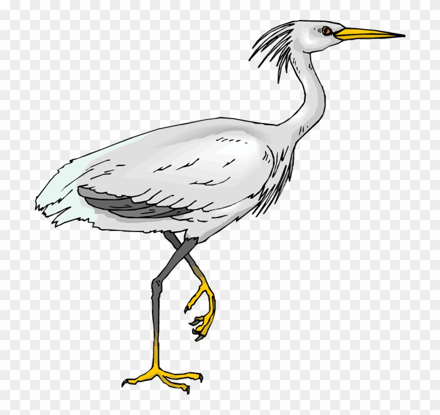 Heron Cliparts - Clipart Heron - Png Download