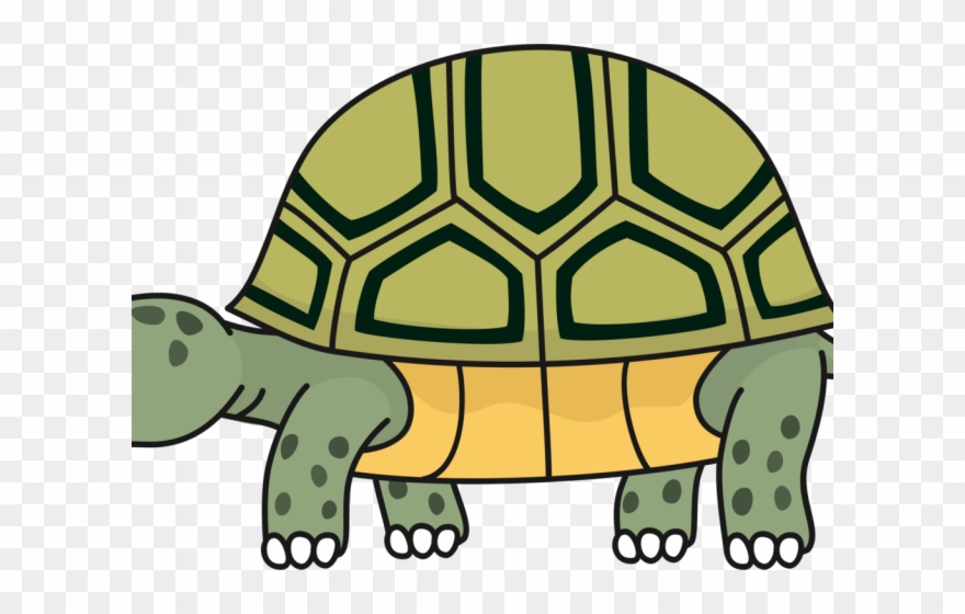 Turtoise Clipart Desert Tortoise - Tortoise Png Transparent Png