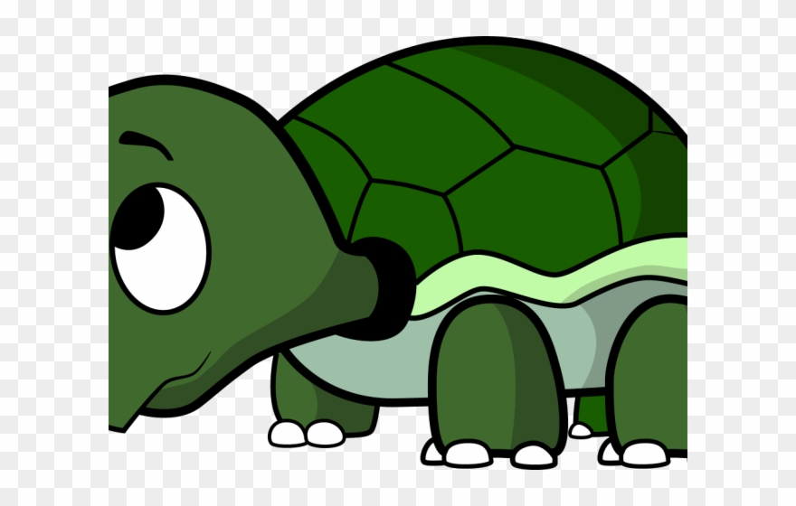 Turtoise Clipart Pawikan - Baby Turtle Ipod Touch 6 Case - Png Download