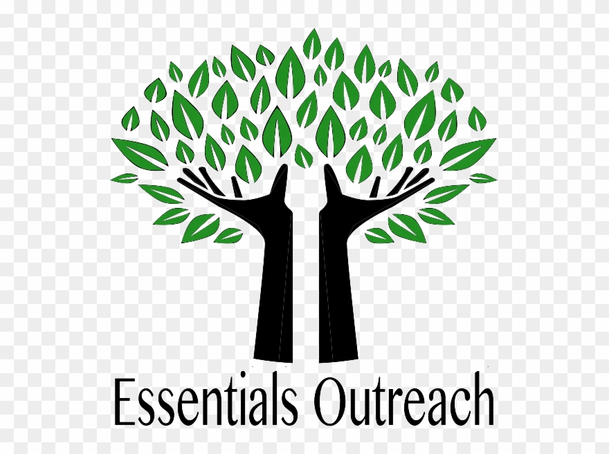 Everyday Products From Toilet Paper To Laundry Detergent - Tree Of Life Jewish Vector Clipart