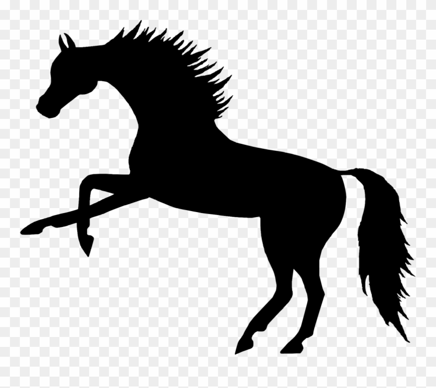 Banner Black And White Collection Of Free D Clip Horse - Holmes Middle School Logo - Png Download