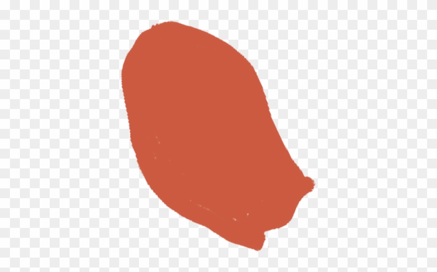 South American Hydrangea - Illustration Clipart