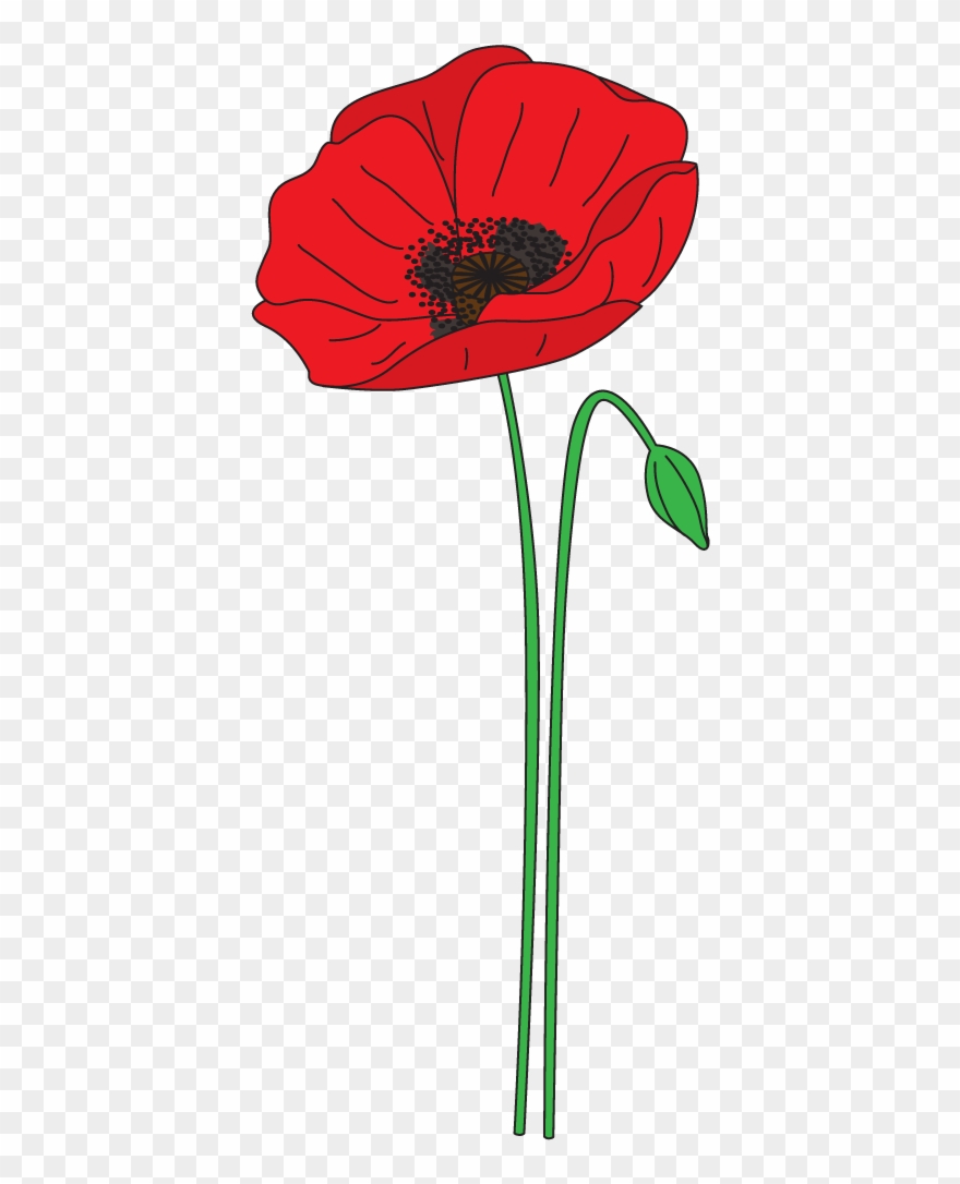 Png Transparent Stock Collection Of Anzac High Quality - Anzac Day Poppy Clipart