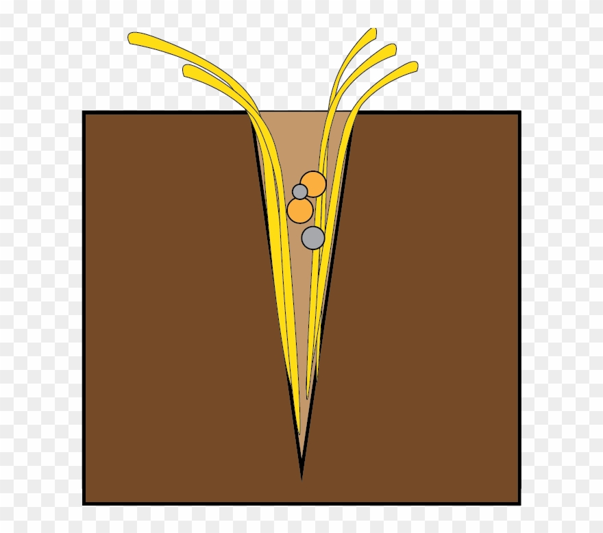Seeds Clipart Clay Soil - Png Download