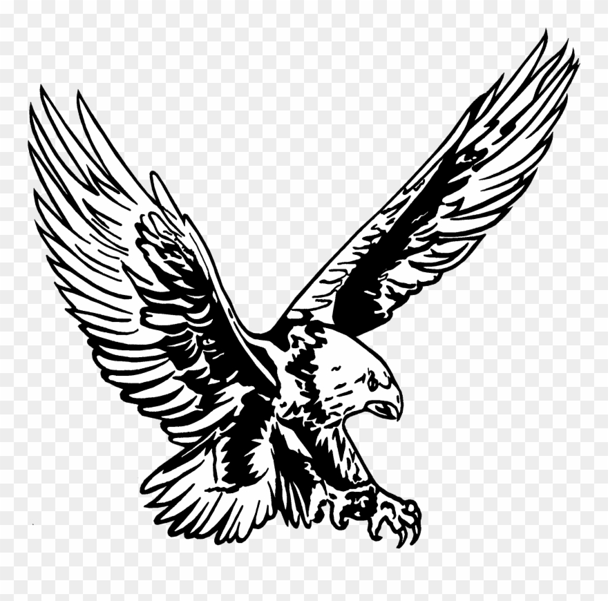 School Logo - Eagles High School Logo Clipart