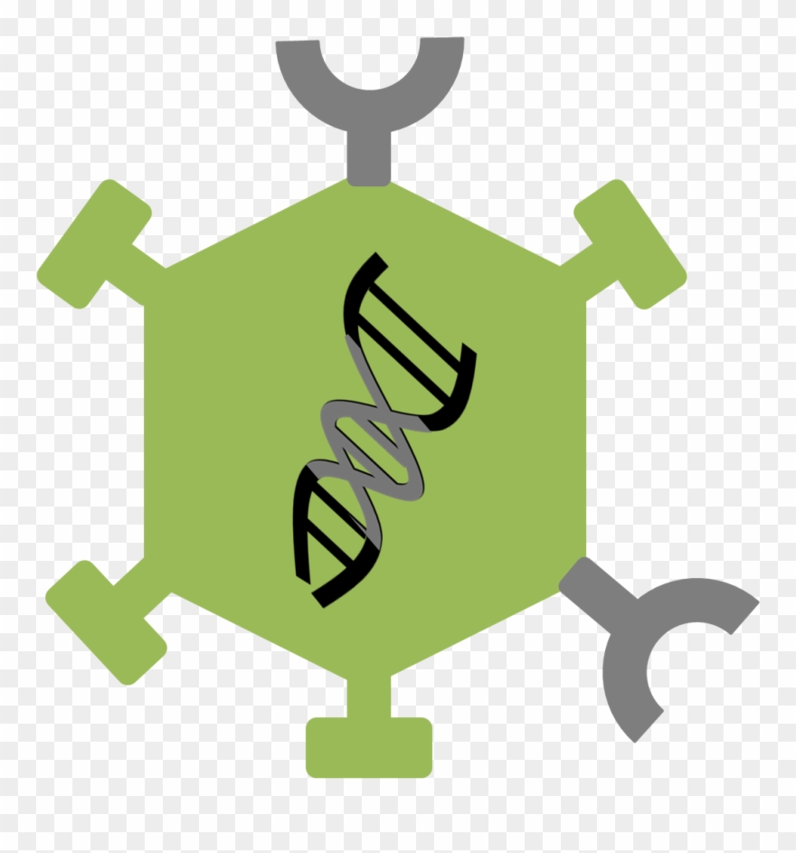 Caps#modified Oncolytic Virus - Genetically Modified Virus Clipart