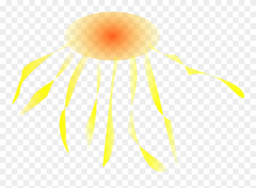 Lion's Mane Jellyfish - Clip Art - Png Download