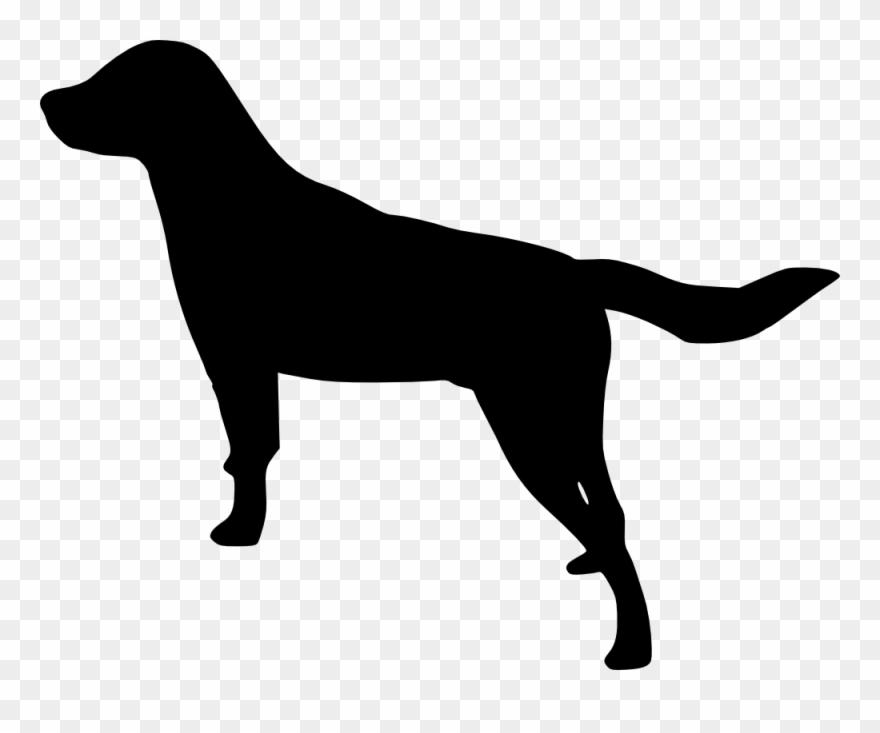 Retriever Cachorro Clip Art - Dog - Png Download