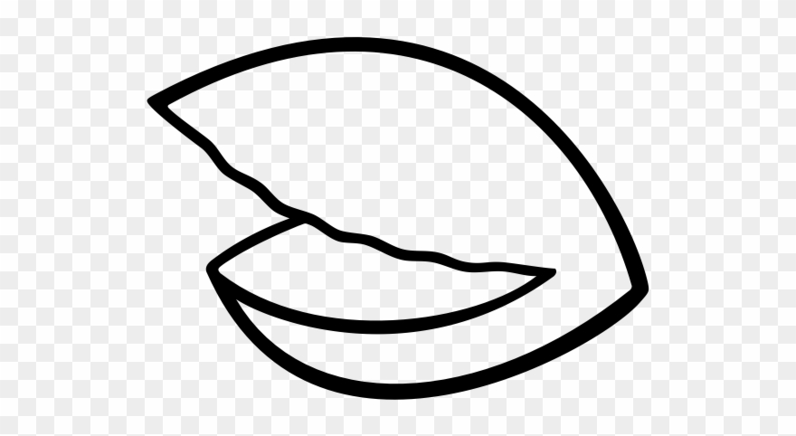 Oyster Clipart