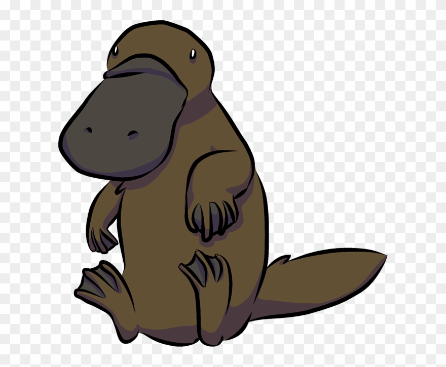 A Platypus - - Beaver Clipart